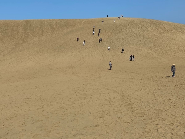 砂丘２馬の背