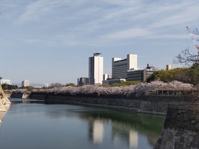 2023大阪城6