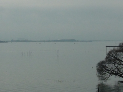 琵琶湖大橋西詰めか眺めた南湖。弱い雨に負けずたくさんのボートが釣りをしてます（2月23日11時頃）