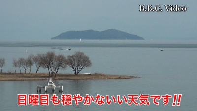 日曜日はベタナギの琵琶湖!! 湖上は2日連続で賑やかです #今日の琵琶湖（YouTubeムービー 23/03/05）