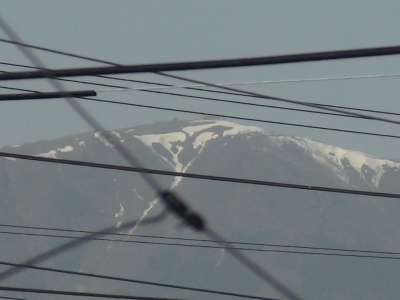 堅田から眺めた比良山は雪がだいぶ少なくなりました（3月10日14時頃）