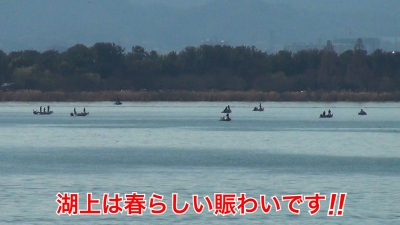 日曜日の琵琶湖は快晴軽風の釣り日和!! 湖上は春らしい賑わいです #今日の琵琶湖（YouTubeムービー 23/03/19）