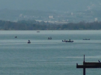 琵琶湖大橋西詰めから眺めた南湖はボートが一気に増えて小規模な船団があちこちにできてます（3月19日9時40分頃）