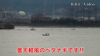 雨上がりの琵琶湖南湖!! 湖上はベタナギガラ空きです #今日の琵琶湖（YouTubeムービー 23/03/24）