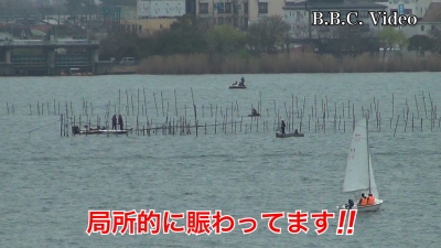 土曜日も雨上がりの琵琶湖!! 湖上は局所的に賑わってます･･･笑 #今日の琵琶湖（YouTubeムービー 23/03/25）