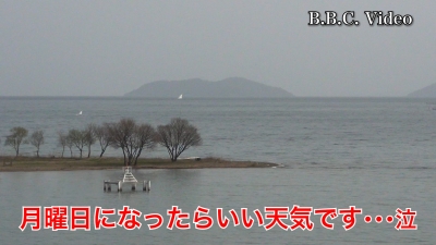 月曜日になったらいい天気!! 湖上はガラ空き サクラはだいぶ咲きました #今日の琵琶湖（YouTubeムービー 23/03/27）