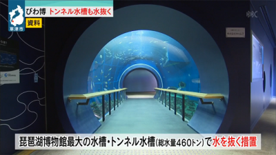 琵琶湖博物館のトンネル水槽1
