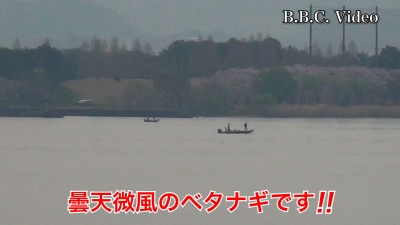 琵琶湖大橋西詰めから眺めた南湖は曇天微風のベタナギ!! 雨が近いですね #今日の琵琶湖（YouTubeムービー 23/04/05）
