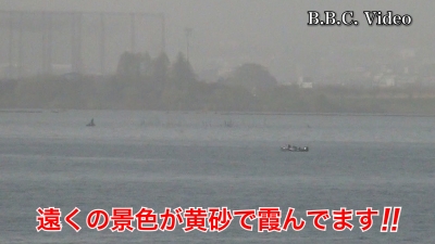 琵琶湖大橋西詰めから眺めた南湖!! 遠くの景色が黄砂で霞んでます #今日の琵琶湖（YouTubeムービー 23/04/13）