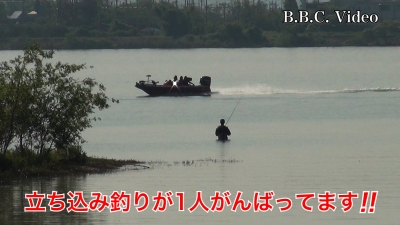 五月晴れ続く琵琶湖!! 湖上はガラ空き 真野川河口で1人がんばってます #今日の琵琶湖（YouTubeムービー 23/05/11）