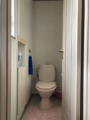 replace the toilet (2)