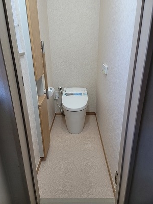 replace the toilet (4)