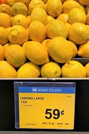 レモンの安売り