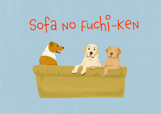 Sofaのふち犬カラー-(1)
