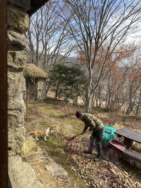 犬と庭仕事