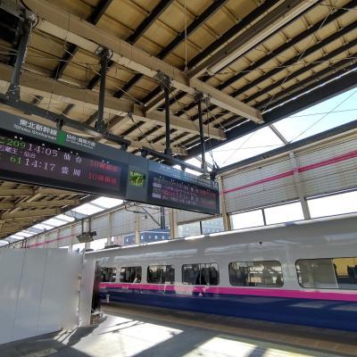 福島駅に到着した東北新幹線やまびこ号