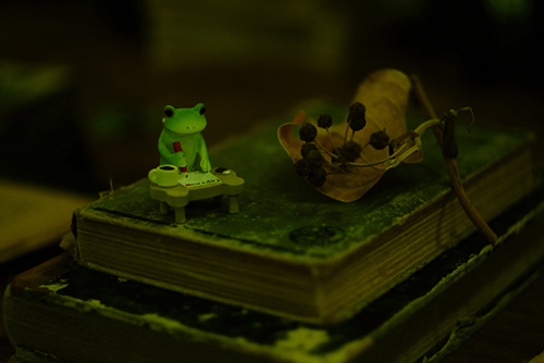 ツバキアキラが撮ったカエルのフィギュア、コポー。本の上で手紙を書いているコポタロウ。