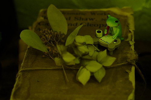 ツバキアキラが撮ったカエルのフィギュア、コポー。乾いた葉っぱと、古い本の上で手紙を書きながら、ロマンチックな思いに浸る、コポタロウ。