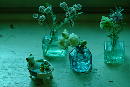 ツバキアキラが撮ったカエルのフィギュア、コポー。アンティークのインク瓶にお花が飾られた空間で、ひんやり水風呂を楽しんでいるコポタロウ。