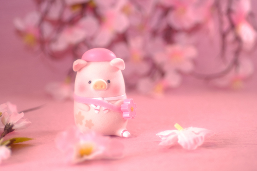 ツバキアキラが撮った、子豚のLuLu。桜の季節は過ぎましたが、さくらLuLuちゃん達は、いつだって桜満開なのです。
