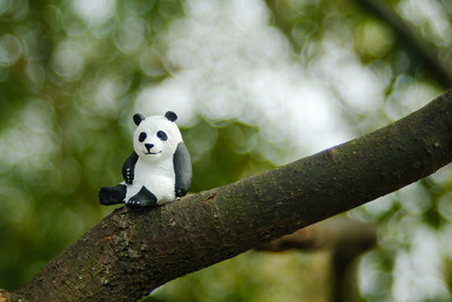 ツバキアキラが撮った、パンダのフィギュア。木の上に登って、景色を眺めているパンダちゃん。