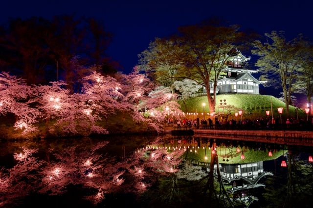 1高田城址公園水面に映る夜桜