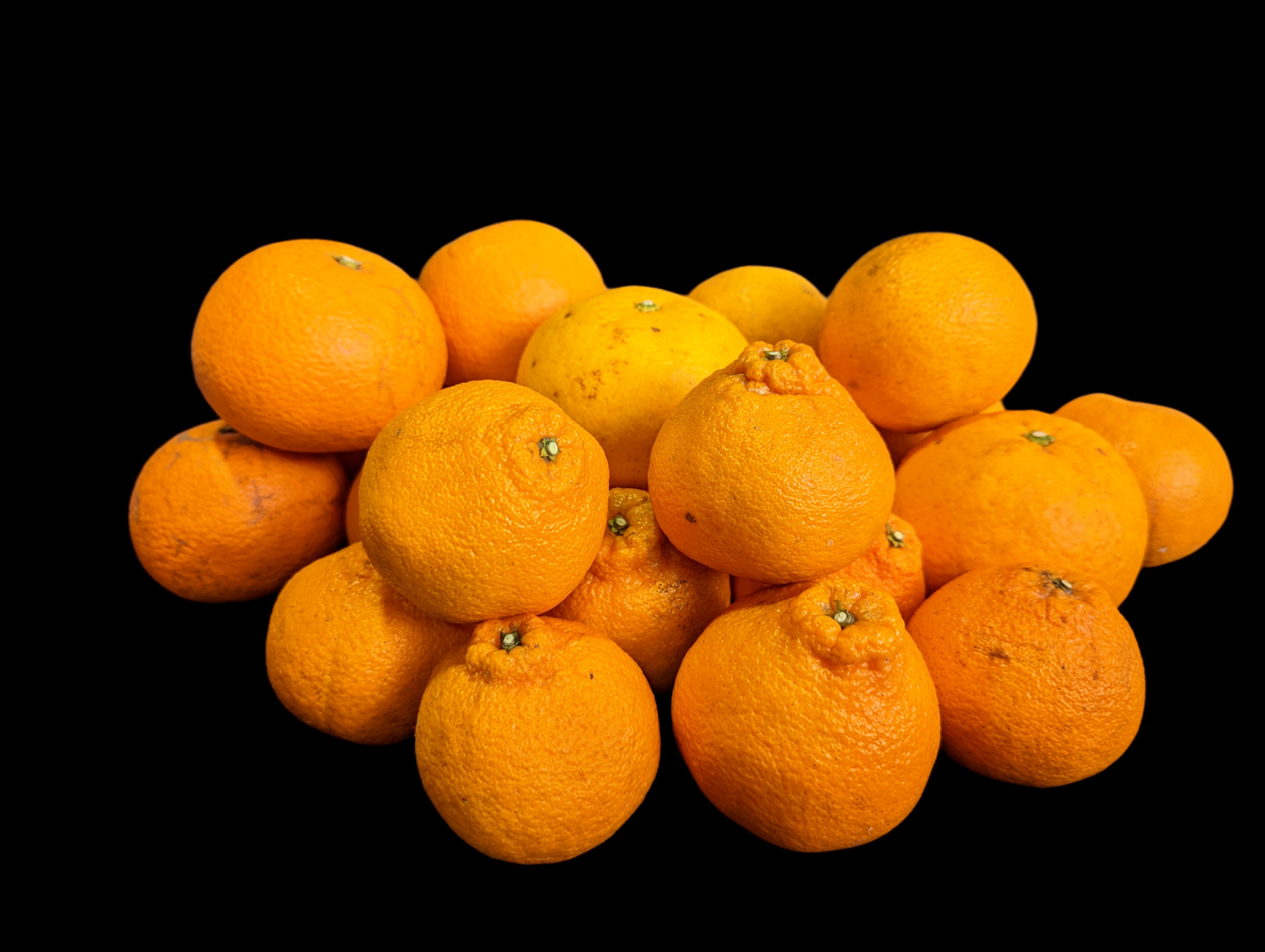 柑橘の