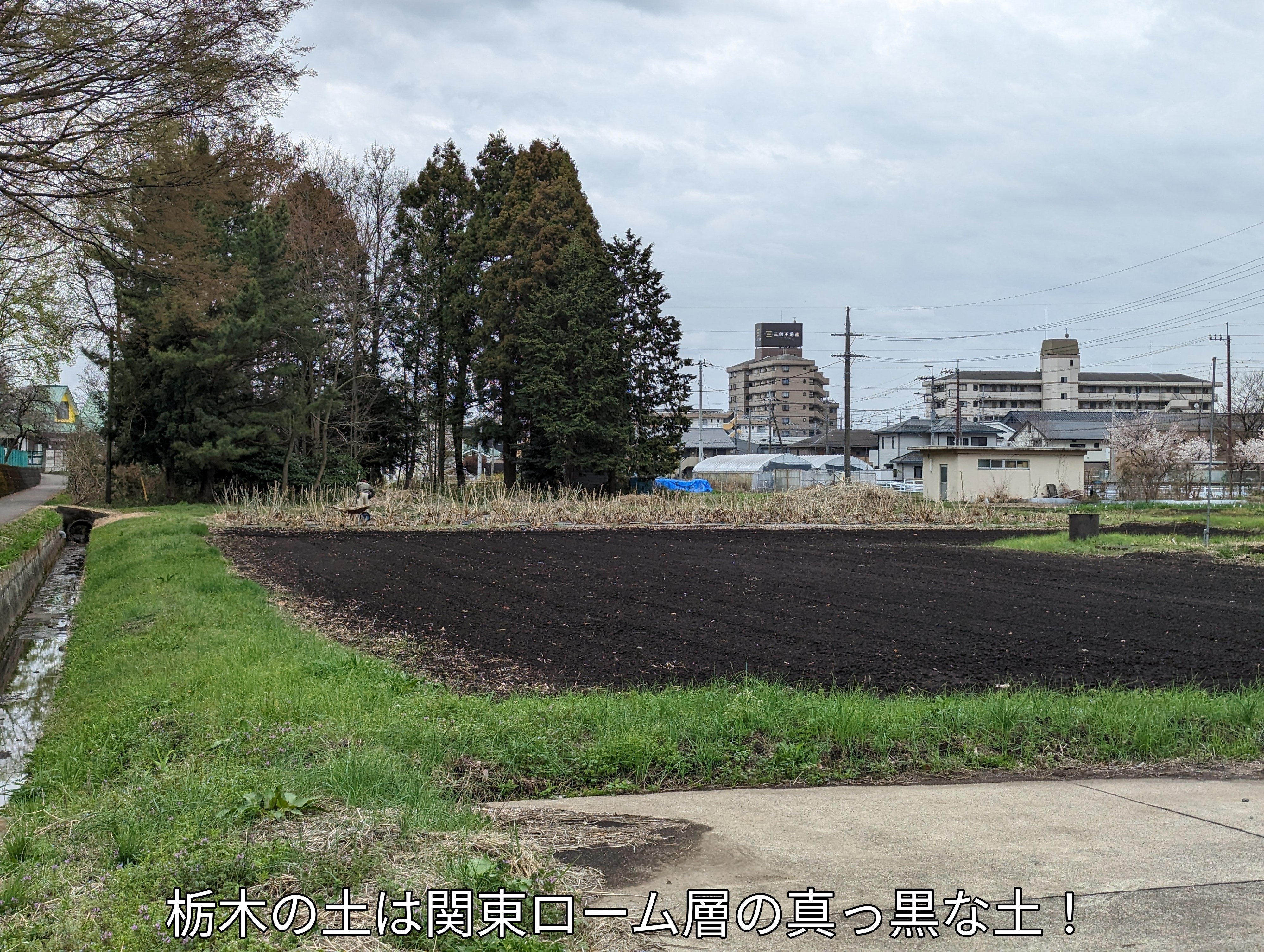 栃木の土は真っ黒な関東ローム層の土