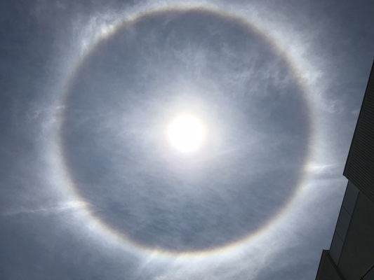 Halo,_observed_in_Tokyo_in_2018