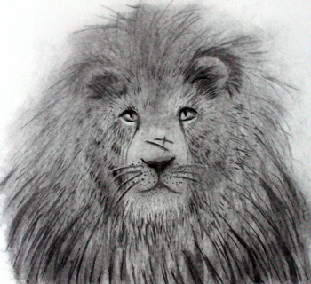 ライオンの絵