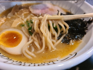 DAISENMON　唐揚げ鶏ドロ　麺スープ