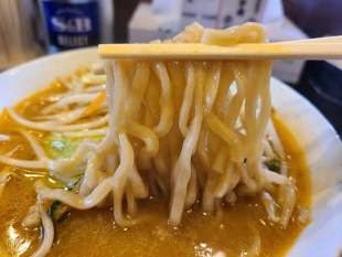 鯉次　味噌ラーメン　麺