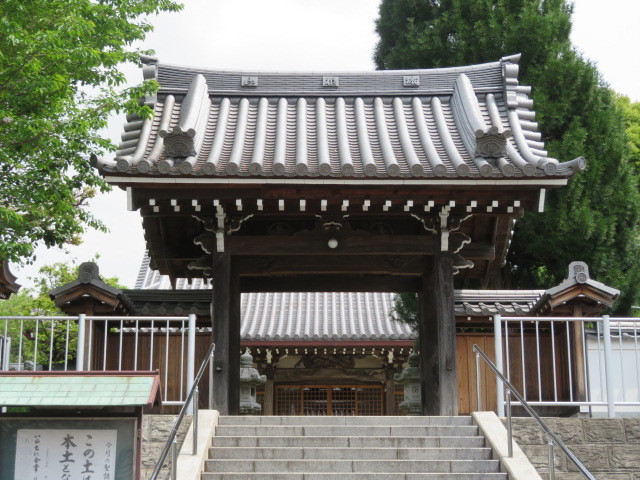 妙蓮寺の山門３