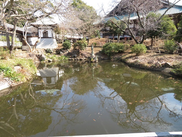 清浄光寺の放生池２