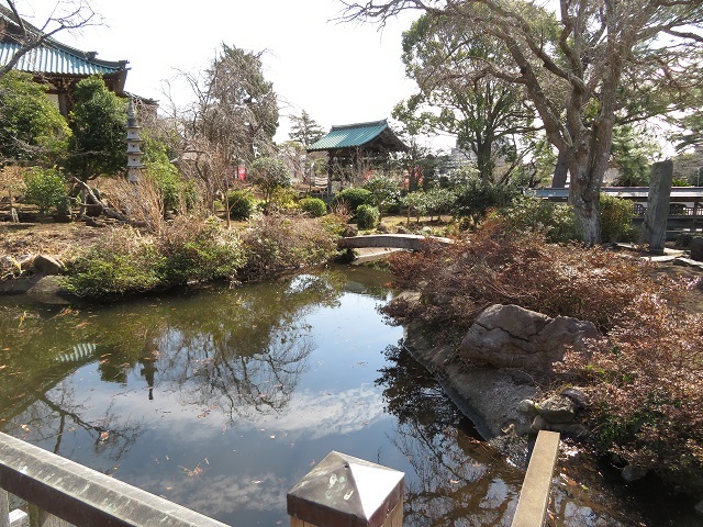 清浄光寺の放生池４