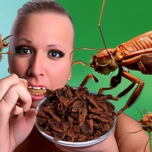 昆虫を食べる同性愛者