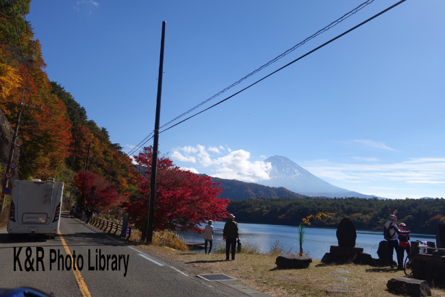 2022年11月6日3西湖・富士山・紅葉